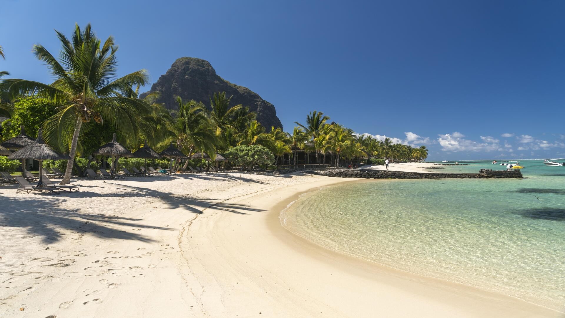 Пляж с пальмами и гора Ле-Морн на заднем плане, полуостров Ле-Морн.