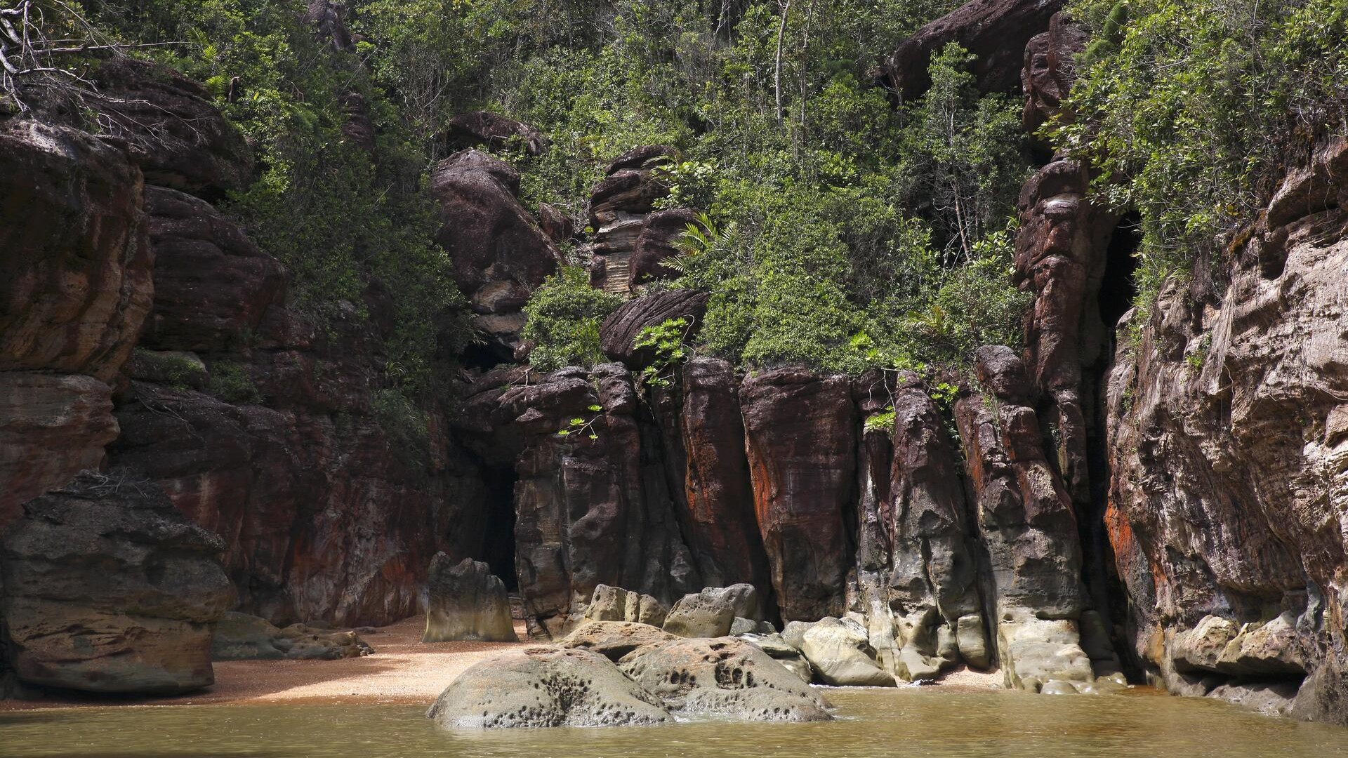 Скалы и тропический лес в национальном парке Бако, Саравак, Борнео.